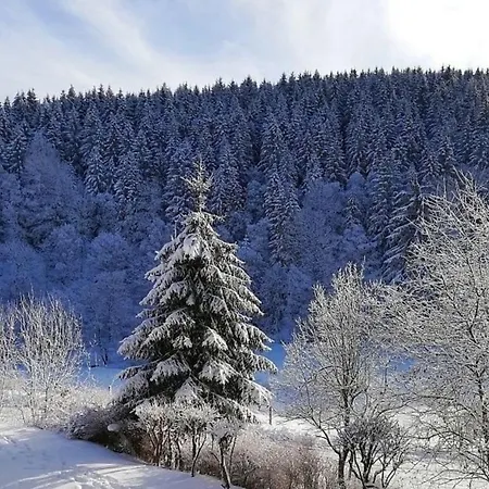 Buere Blick * Winterberg