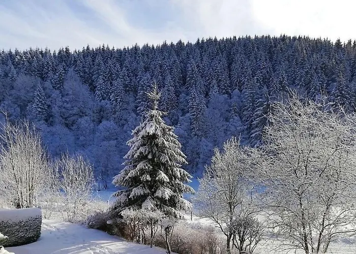 Buere Blick * Winterberg